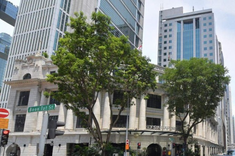 Viva Land liên quan Vạn Thịnh Phát chi đến 173 triệu USD mua khách sạn ở Singapore Viva Land lien quan Van Thinh Phat chi den 173 trieu USD mua khach san o Singapore
