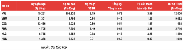 10 doanh nghiệp bất động sản phát hành trái phiếu 'khủng' nhất 9 tháng - Hình 2 10 doanh nghiep bat dong san phat hanh trai phieu 'khung' nhat 9 thang-Hinh-2