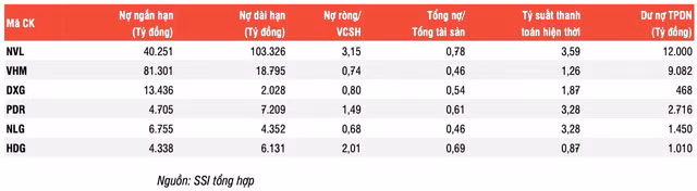 10 doanh nghiep bat dong san phat hanh trai phieu 'khung' nhat 9 thang-Hinh-2