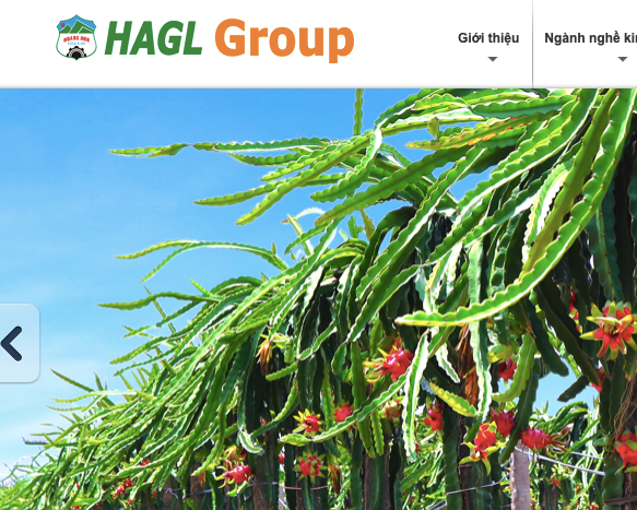 Hoàng Anh Gia Lai chuyển từ lỗ sang lãi sau soát xét, tiếp tục xin giãn nợ giảm lãi suất Hoang Anh Gia Lai chuyen tu lo sang lai sau soat xet, tiep tuc xin gian no giam lai suat