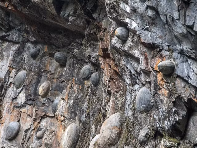 Hien tuong vach da 'de trung' ky la o Trung Quoc-Hinh-5