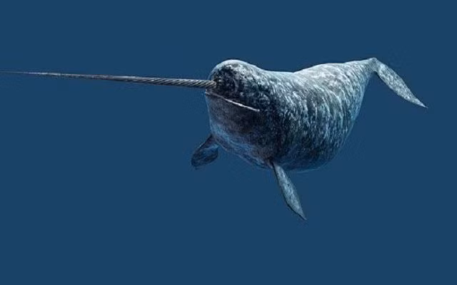 Gioi khoa hoc ngac nhien voi loai dong vat ky quac nay-Hinh-6