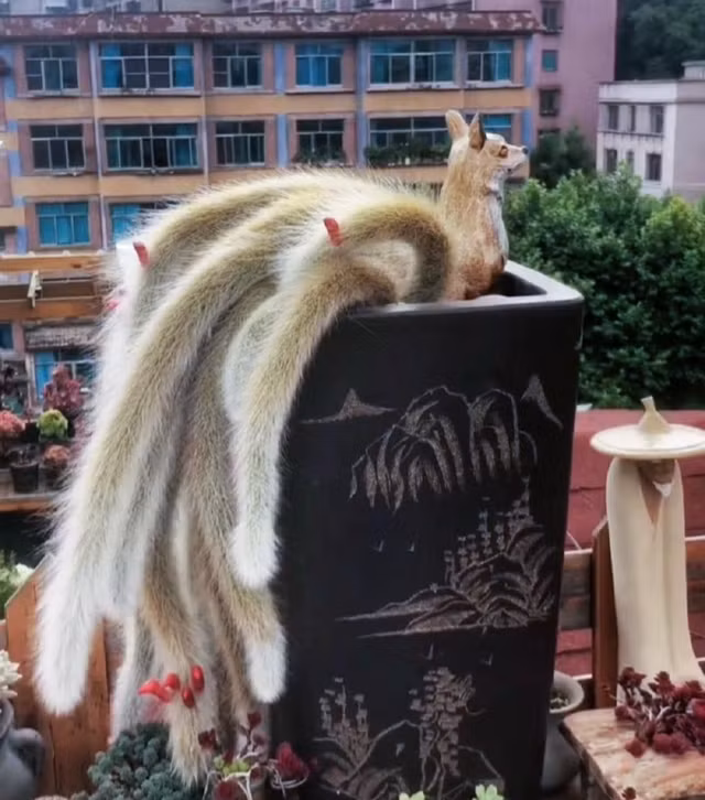 Xuong rong duoi chon duoc menh danh 'yeu tinh trong truyen thuyet'