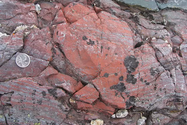 Phat hien vien da hang ty nam co the lam thay doi lich su Trai dat-Hinh-2