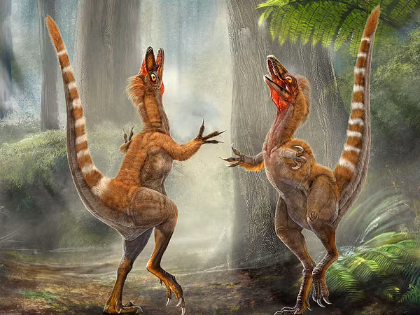 Khoi phuc mau sac cua khung long: Thuc chat co sac so?-Hinh-7