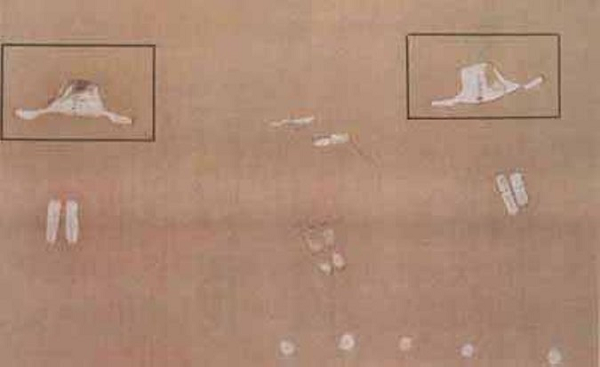 Người cổ đại đã vẽ người ngoài hành tinh từ 8.000 năm trước? - Hình 8 Nguoi co dai da ve nguoi ngoai hanh tinh tu 8.000 nam truoc?-Hinh-8