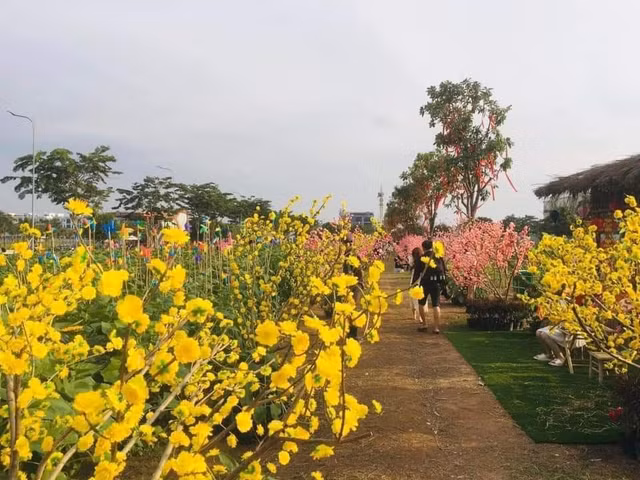 Sac Xuan ruc ro bao trum nhung lang hoa-Hinh-8