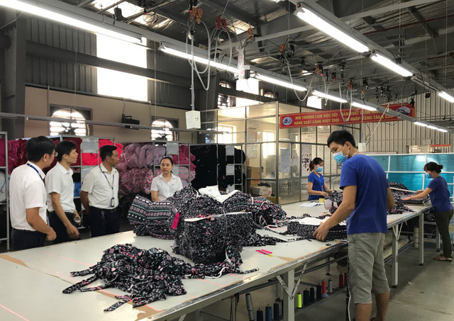 Cổ phiếu lao dốc dù TNG báo doanh thu gần 4.000 tỷ trong 10 tháng Co phieu lao doc du TNG bao doanh thu gan 4.000 ty trong 10 thang