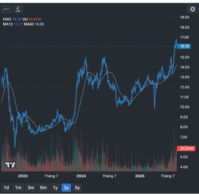 Cổ phiếu HAG đang đà tăng, phiên 21/8 còn lập đỉnh giá 3 năm. Ảnh: Fireant. hagl-2.png