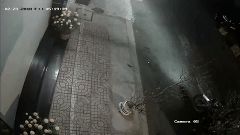 Và sau đó cả 3 bỏ đi nhanh chóng. Và sau đó cả 3 bỏ đi nhanh chóng.