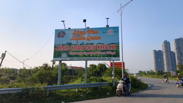 anh-tt2.jpg