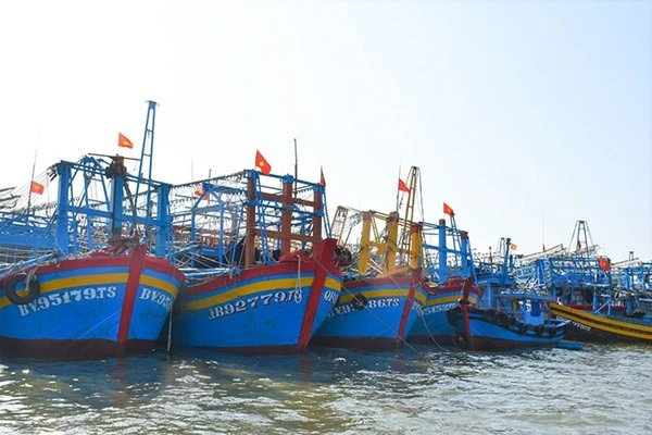 TP HCM tập trung kiểm soát hoạt động VMS trên tàu cá