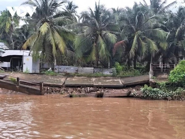 Vĩnh Long: Đầu tư 500 tỷ đồng gia cố bờ sông Hàm Luông