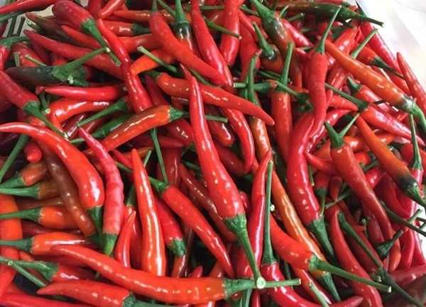 Từ gia vị rẻ tiền, ớt thành mặt hàng “xa xỉ”