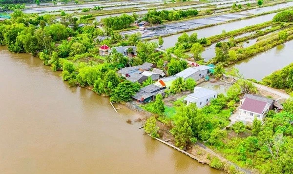 Cà Mau: Đầu tư 480 tỷ đồng gia cố bờ sông Gành Hào