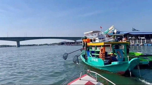 TP HCM: Thu gom cá chết trên sông Chà Và, ngăn ô nhiễm lan rộng