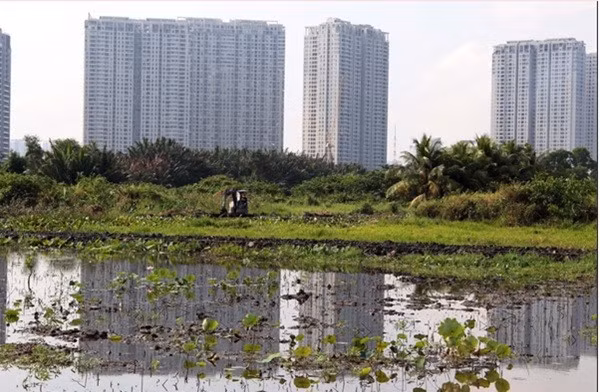 Tiền sử dụng đất được tính từ khi nào?