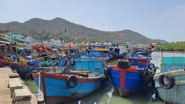 TP HCM siết chặt quản lý tàu cá, quyết liệt chống khai thác IUU