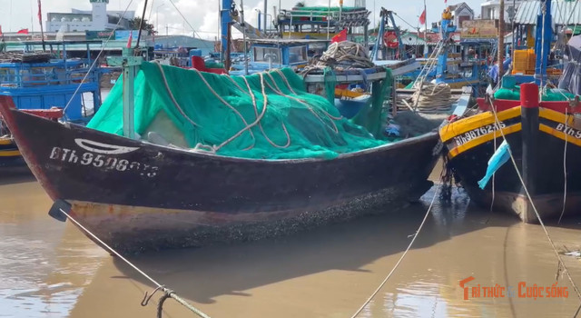 Khu vực cầu Trần Hưng Đạo (phường Phan Thiết) là nơi xảy ra sự cố tàu cá bị đứt neo do mưa lớn. kto-br_cat-2.png