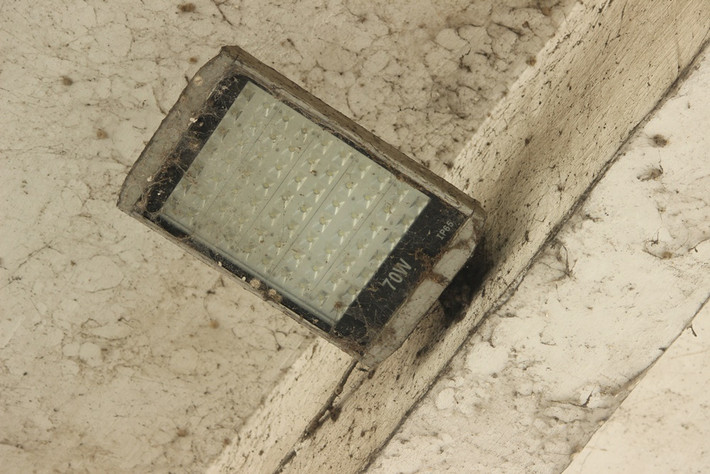 Các mảng bụi phủ khắp nơi.