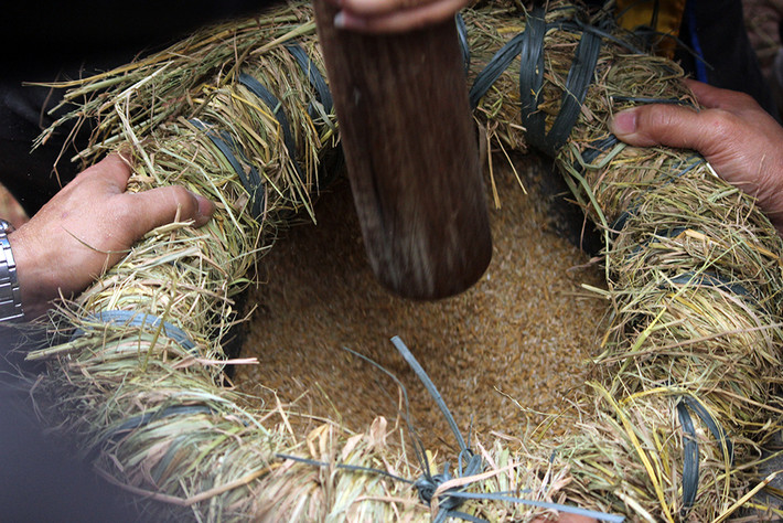Những thanh niên trai tráng, khỏe mạnh được cử ra cho thóc vào cối đá và giã thật mạnh, thật nhanh. Việc giã gạo đòi hỏi phải khéo léo, để làm sao tách được vỏ trấu thật sạch và hạt gạo ít vỡ.