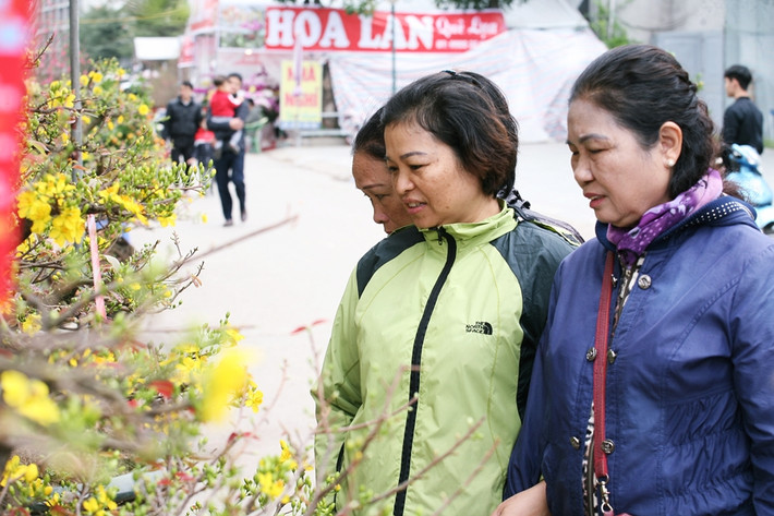 Ai nấy cũng đều tỏ ra thích thú.