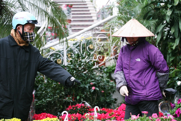 Không chỉ có phụ nữ, những người đàn ông cũng nhộn nhịp kéo về phố Hoàng Hoa Thám những ngày cận Tết Nguyên đán 2020 để mua hoa trang trí nhà cửa.