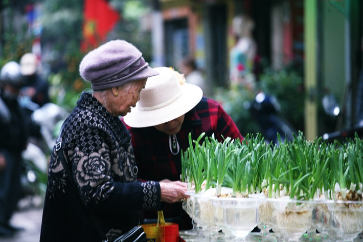 Những cụ bà dù đã lớn tuổi vẫn xuống chợ hoa Hoàng Hoa Thám dịp Tết Nguyên đán 2020, chọn mua được bình thủy tiên.