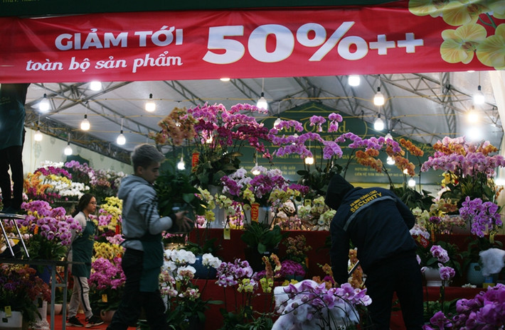 Trong khi đó, trên đường Hoàng Đạo Thúy (Hà Nội), hàng loạt gian hàng bán hoa lan hồ điệp cũng treo biển thông báo "giảm tới 50%++/toàn bộ sản phẩm" khi mới 27 Tết.