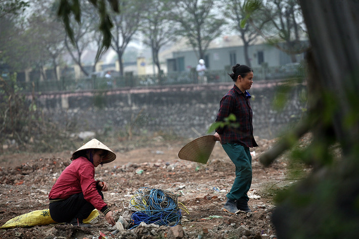 Người dân tranh thủ thu gom phế liệu.