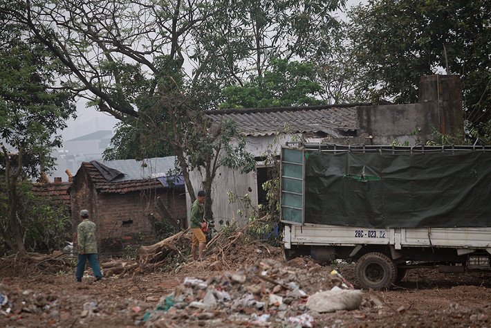 Cây cối được dọn dẹp, chặt bỏ.