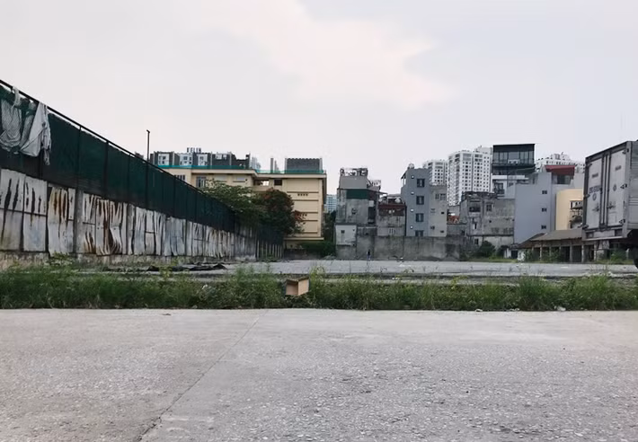 Cỏ dại mọc bên trong khu đất cũng không được cắt bỏ.