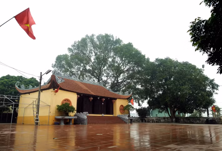 Từ trước Tết, khu vực đình làng đã được dọn dẹp sạch sẽ.