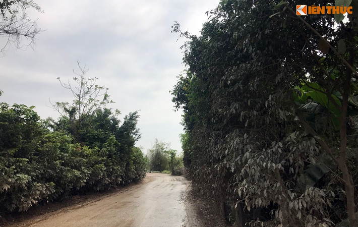 Ông Nguyễn Hồng Thanh - Phó Chủ tịch UBND xã Thanh Hương cho biết, xã đã có văn bản gửi UBND huyện Thanh Liêm; Phòng kinh tế và hạ tầng huyện Thanh Liêm; Công an huyện Thanh Liêm đề nghị xử lý việc các xe tải chở đá sét của Công ty xi măng Xuân Thành gây ô nhiễm..