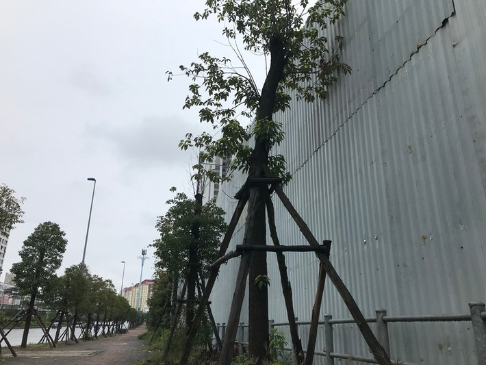 Ghi nhận thực tế của PV Kiến Thức ngày 4/3/2020, bên ngoài dự án The Lotus Center vẫn được quây tôn kín mít, cao trên 3m. “Hiện chủ đầu tư vẫn chưa triển khai bất kỳ điều gì cả, chỉ là công tác chuẩn bị. Họ cũng mới chỉ rào lại lô đất TM01 và đang hoàn thiện thủ tục pháp lý...”, - ông Trần Việt Hùng cán bộ Quản lý TTXD phường Phú Thượng nói với PV Kiến Thức.