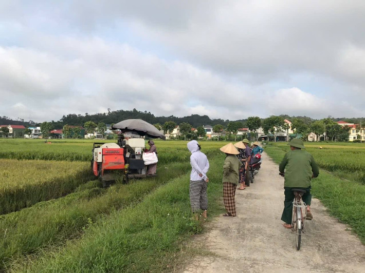 Không chỉ ở xã Cẩm Bình, trên các cánh đồng ở những địa phương khác, hàng chục chiếc máy gặt đập liên hợp cũng đang hoạt động hết công suất bất kể trưa nắng hay đêm tối.