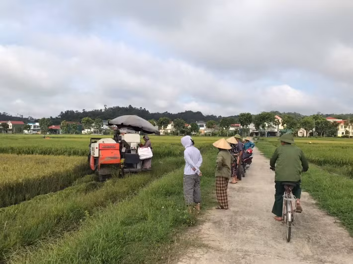 Không chỉ ở xã Cẩm Bình, trên các cánh đồng ở những địa phương khác, hàng chục chiếc máy gặt đập liên hợp cũng đang hoạt động hết công suất bất kể trưa nắng hay đêm tối.