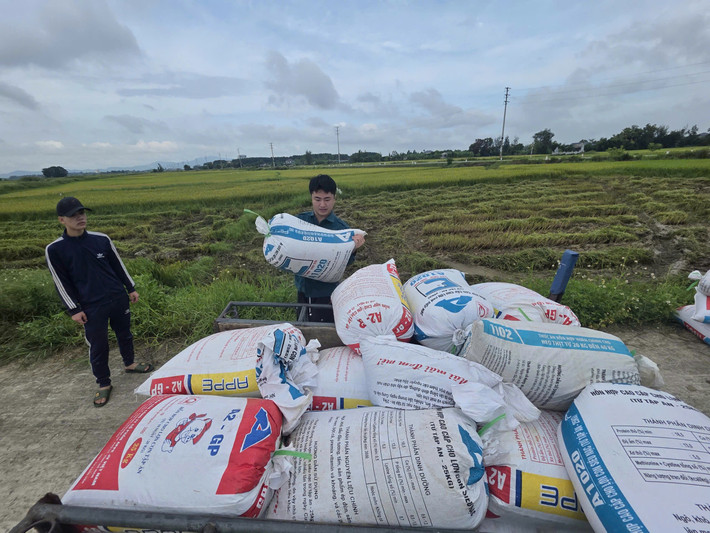 Theo Chi cục Trồng trọt và Chăn nuôi Hà Tĩnh, vụ hè thu 2025, toàn tỉnh thực hiện gieo cấy hơn 45.170 ha lúa. Đến nay, các địa phương đã thu hoạch được gần 400 ha, tập trung nhiều nhất ở xã Cẩm Bình, tiếp đó là xã Thiên Cầm, Đồng Tiến và phường Hà Huy Tập.