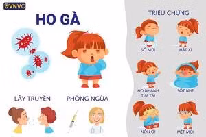 trieu-chung-benh-ho-ga-06091.jpg