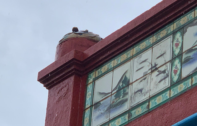 Tuong co ong Nhat, ba Nguyet tien ti o dinh Khanh Hoi bi ke gian lay mat-Hinh-4