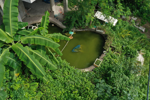 Cận cảnh khu biệt thự bỏ hoang ở phố nhà giàu Thảo Điền - Hình 6 Can canh khu biet thu bo hoang o pho nha giau Thao Dien-Hinh-6