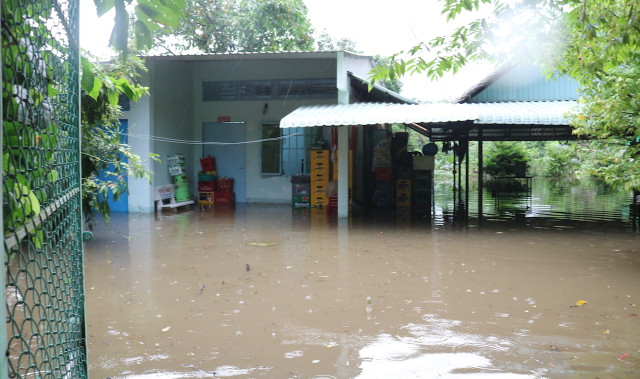 Dân Cần Thơ bơi ghe trên đường trong đợt triều cường lớn nhất lịch sử - Hình 5 Dan Can Tho boi ghe tren duong trong dot trieu cuong lon nhat lich su-Hinh-5