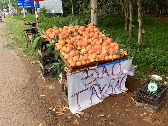 Dao Sapa to mong ban o Sai Gon va su that khien ai cung bat ngo-Hinh-7