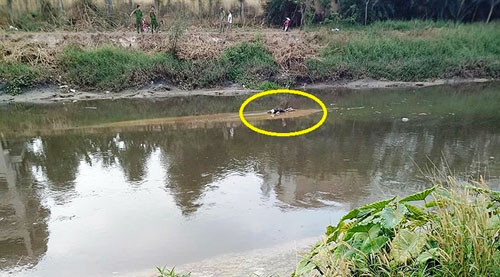 Ly kỳ phá án vụ trộm gần 9 tỷ ở công ty cân Nhơn Hòa - Hình 4 Ly ky pha an vu trom gan 9 ty o cong ty can Nhon Hoa-Hinh-4