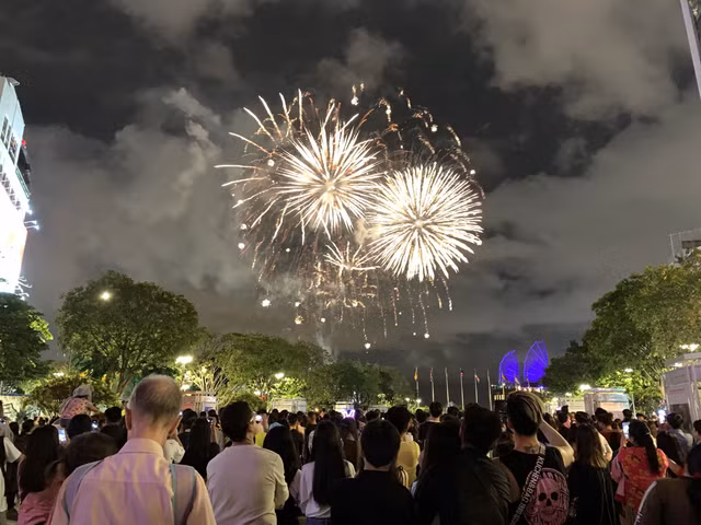 Man phao hoa ruc ro trong dem Quoc khanh 2/9 o Sai Gon-Hinh-3