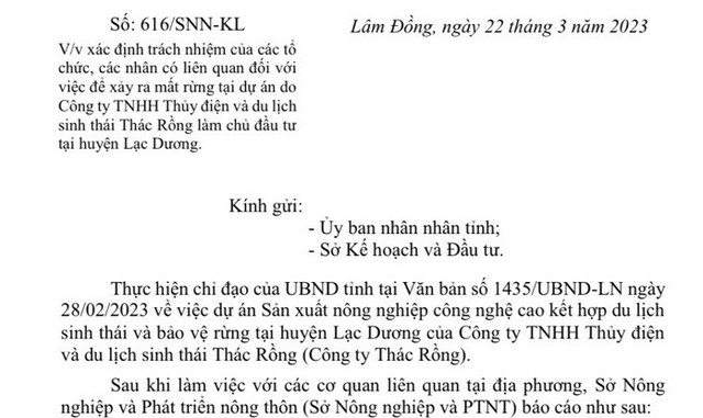 Lâm Đồng: Dự án của Công ty Thác Rồng làm mất rừng Lam Dong: Du an cua Cong ty Thac Rong lam mat rung