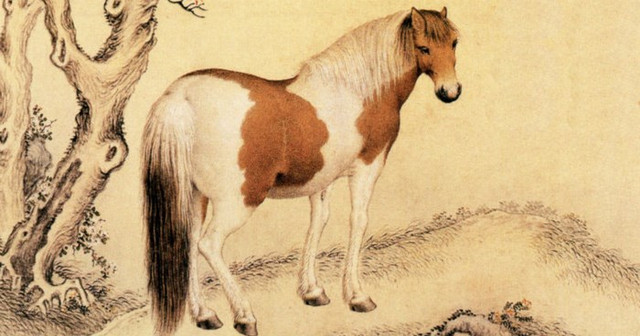 Tử vi 12 con giáp ngày 5/12/2019: Tỵ có bản mệnh Chính Tài tiền tiêu không hết - Hình 3 Tu vi 12 con giap ngay 5/12/2019: Ty co ban menh Chinh Tai tien tieu khong het-Hinh-3