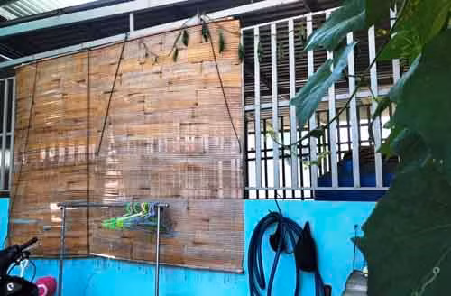 Ong Le Ngoc Qui, Quan uy vien, Chanh Thanh tra quan bo nhiem chuc vu Truong phong Tu phap.-Hinh-2