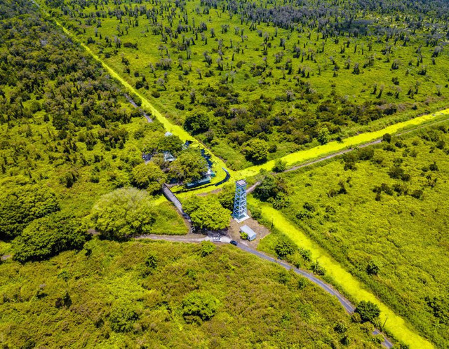 Sống trọn với thiên nhiên nơi đất rừng U Minh Hạ - Hình 2 Song tron voi thien nhien noi dat rung U Minh Ha-Hinh-2