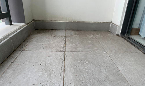 Kinh hoàng môi trường sống, cư dân Him Lam Phú An tìm đường 'tháo chạy' - Hình 6 Kinh hoang moi truong song, cu dan Him Lam Phu An tim duong 'thao chay'-Hinh-6